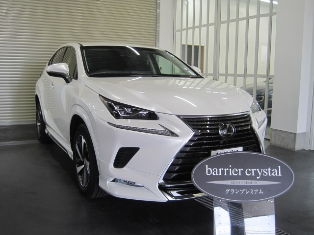 LEXUS«NX»